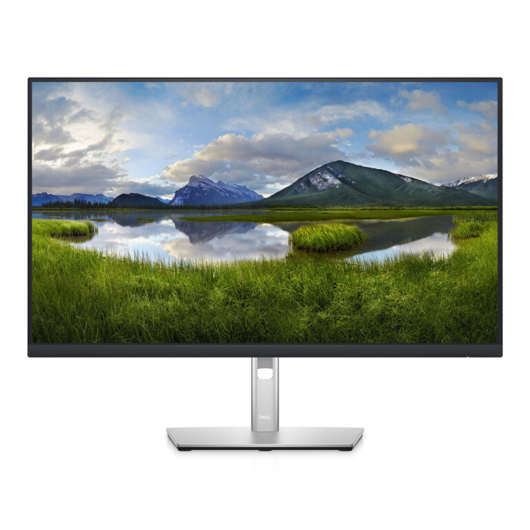 Ecran PC 27 Pouces Dell P2722H Full HD - 5 ms - DALLE IPS