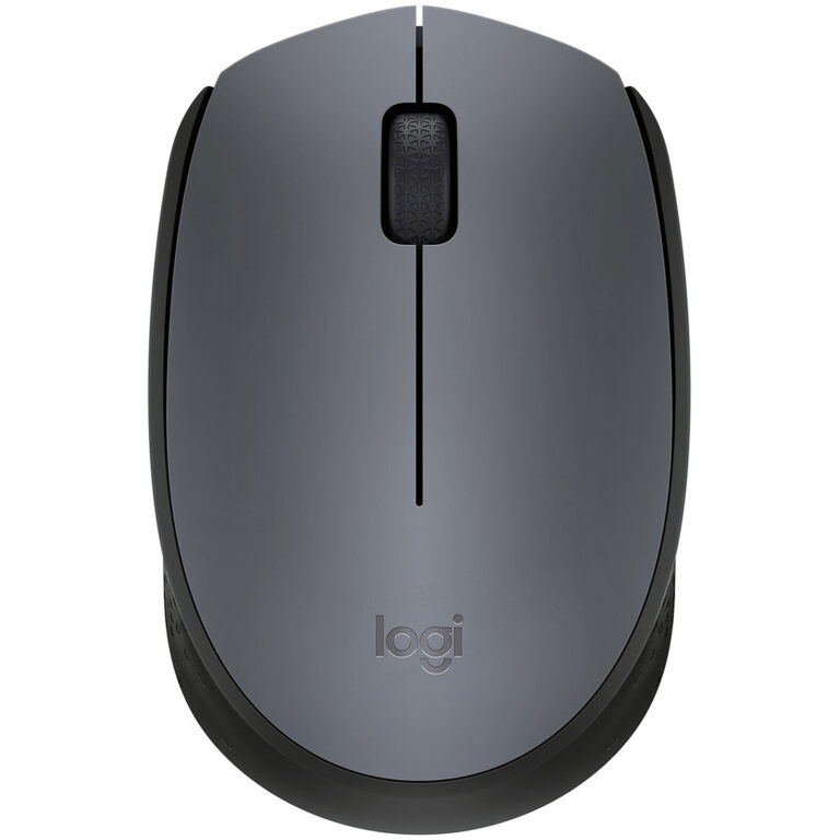 souris sans fil logitech M170