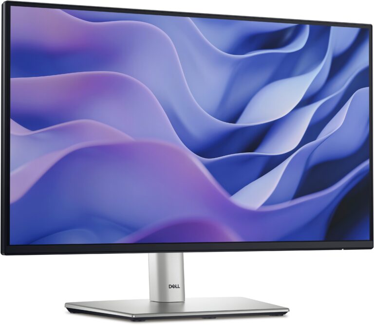 Dell P2225H montage sur support