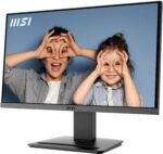 Écran MSI Pro MP223 E2 vue arrière avec connectiques