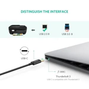 Connecteurs USB-C et USB-B du câble UGREEN 50446 pour imprimante USB 2.0