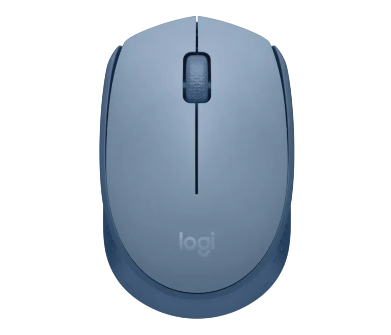souris Logitech M171 sans fil bleu gris vue dessus design compact